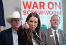 USDA faces scrutiny as screwworm cases mount