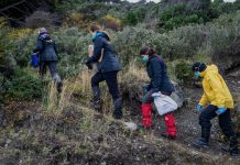 Argentina expands hantavirus probe, sending teams to trap and test rats in Mendoza