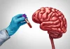 Blood metabolites reveal lifestyle links to brain health before dementia