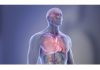 NY, Oregon Researchers Lead Cardiac Arrest Studies