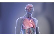 NY, Oregon Researchers Lead Cardiac Arrest Studies