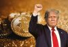 The Trump family’s profits from crypto: a Reuters probe