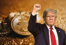 The Trump family’s profits from crypto: a Reuters probe