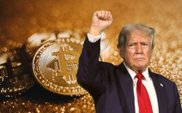 The Trump family’s profits from crypto: a Reuters probe