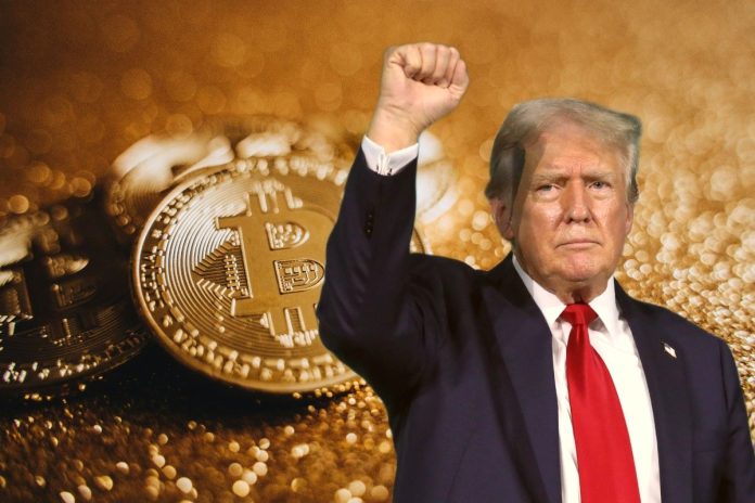 Trump-bitcoin.jpg
