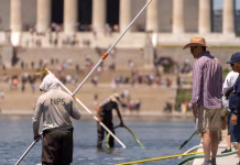 Trump claims vandals damaged D.C. Reflecting Pool, and says it will be drained again