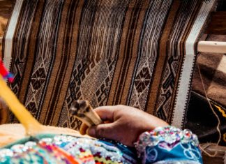 Revisiting the Politics of Indigeneity in Latin America