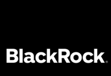 Energy security in a world shaped by supply – BlackRock