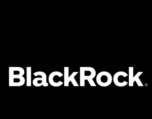 Energy security in a world shaped by supply – BlackRock