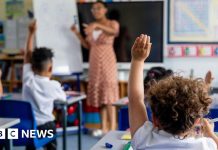 Essex school disruption expected as UK heatwave continues – BBC