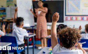 Essex school disruption expected as UK heatwave continues – BBC