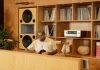 Sean Brock’s Darling Restaurant Showcases Southern Music and Flavors