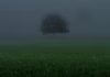 The art of literary translation exposes the limits of AI