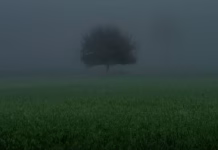 The art of literary translation exposes the limits of AI