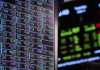 ‘The economy has died through cancer, long-term rot’: Thorne – BNN Bloomberg