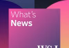 What’s News in Markets: AI Whiplash, SpaceX’s Historic IPO, Knicks Fever – What’s News