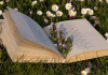 Touching Grass and Listening to Renaissance Gossip: Inspiration Beyond Books