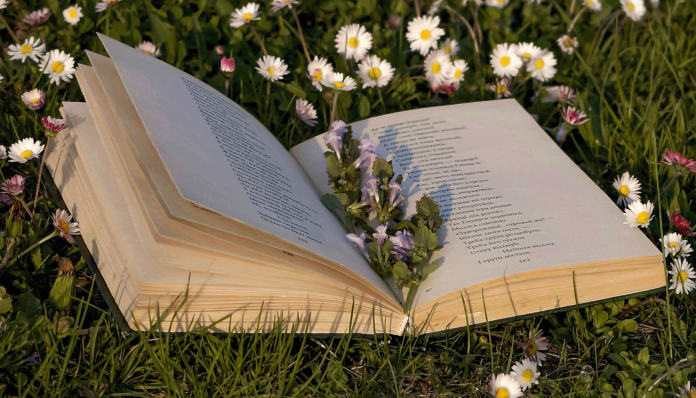 open-book-on-grass.png