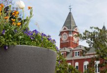 Auburn University