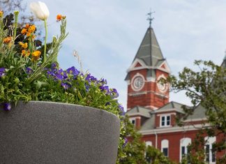 Auburn University