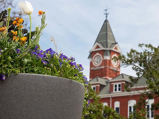 Auburn University
