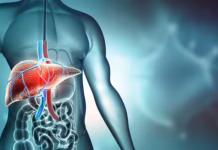 Liver Health: Liver disease myths debunked: Early detection and lifestyle changes crucial for reversal