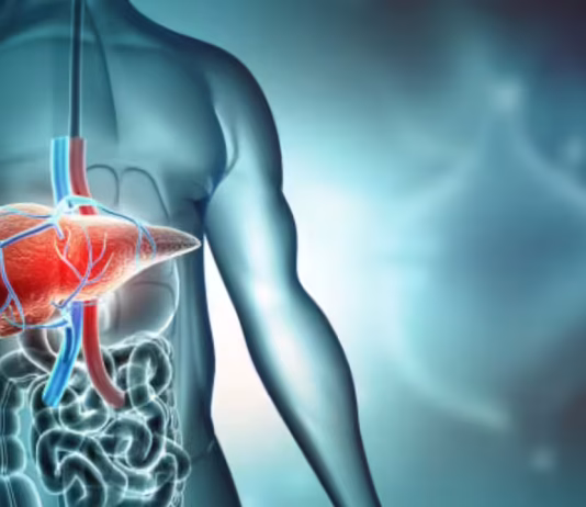 Liver Health: Liver disease myths debunked: Early detection and lifestyle changes crucial for reversal