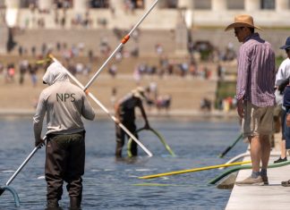 Trump claims vandals damaged D.C. Reflecting Pool, and says it will be drained again : NPR