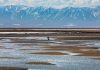 ANWR lease sale draws $3.7M in winning bids, but major oil and gas players stay home