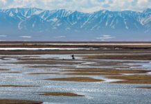 ANWR lease sale draws $3.7M in winning bids, but major oil and gas players stay home