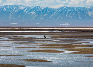 ANWR lease sale draws $3.7M in winning bids, but major oil and gas players stay home