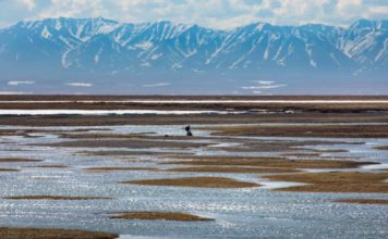 ANWR lease sale draws $3.7M in winning bids, but major oil and gas players stay home