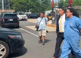 New York elementary school music teacher charged in disturbing murder of sister-in-law