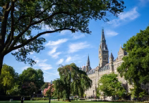 Meet the Inaugural DisCover Fellows Researching Disability Studies and Culture | College of Arts & Sciences