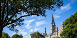 Meet the Inaugural DisCover Fellows Researching Disability Studies and Culture | College of Arts & Sciences