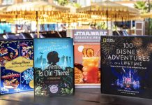 What to Read This Summer Based on Your Disney Parks Travel Personality