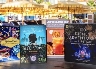 What to Read This Summer Based on Your Disney Parks Travel Personality