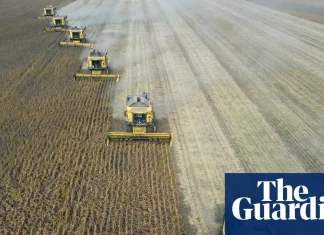 ‘Super’ El Niño could cause global food price shock lasting into 2028, analysts say | Global economy