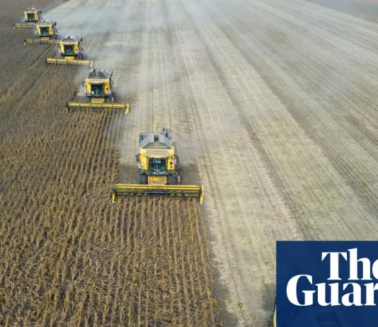 ‘Super’ El Niño could cause global food price shock lasting into 2028, analysts say | Global economy