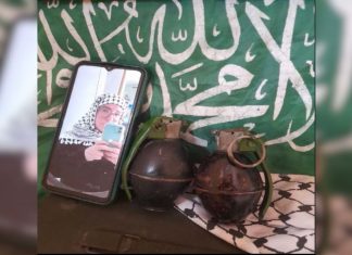 NY woman arrested for funding Palestinian Islamic Jihad with cryptocurrency payments