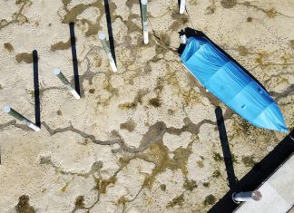 Climate risk is becoming economic risk for investors