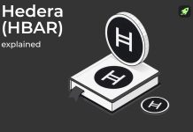What Is Hedera? Hashgraph, HBAR and Network Explained