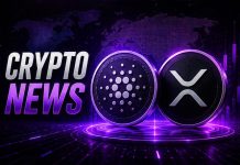 New Cryptocurrency Launches Keep Coming but Only One Presale