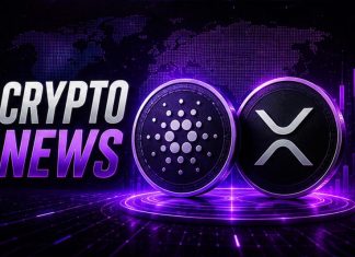 New Cryptocurrency Launches Keep Coming but Only One Presale