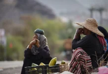 Yemeni women support families through enterprise as economic crisis bites | Business and Economy News
