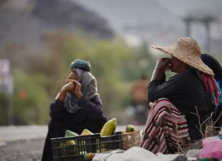 Yemeni women support families through enterprise as economic crisis bites | Business and Economy News