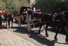 Debate over horse-drawn carriages in NYC goes back decades