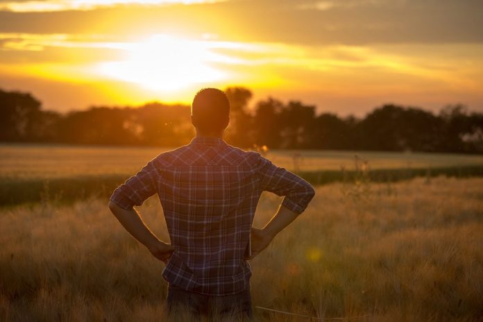 farmer-field-at-sunset.jpeg