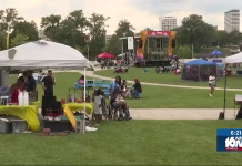 The Annual Vibes Music Festival in Howard Park – WNDU