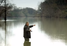 Big Fish is still one of Tim Burton’s best movies — and it’s now free to stream
